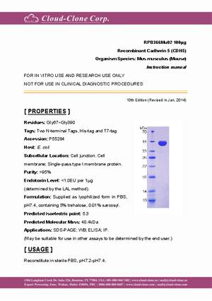 Recombinant-Cadherin-5--CDH5--RPB366Mu02.pdf
