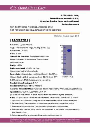 Recombinant-Calumenin--CALU--RPB854Hu01.pdf