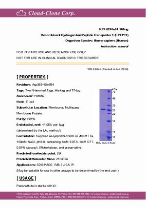Recombinant-Hydrogen-Ion-Peptide-Transporter-1--HPEPT1--RPE429Hu01.pdf