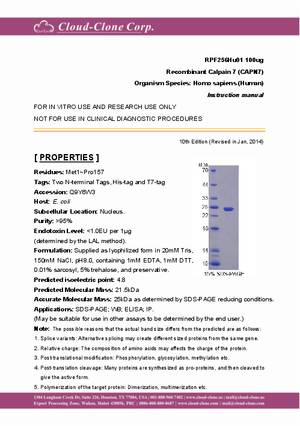 Recombinant-Calpain-7-(CAPN7)-RPF256Hu01.pdf