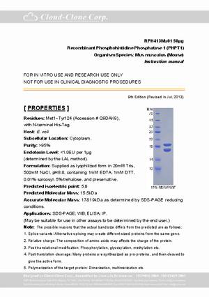 Phosphohistidine-Phosphatase-1--PHPT1--P97413Mu01.pdf