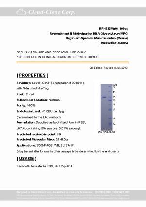 N-Methylpurine-DNA-Glycosylase--MPG--RPH625Mu01.pdf