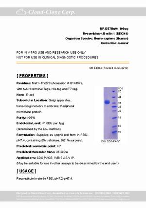 Recombinant-Beclin-1--BECN1--RPJ557Hu01.pdf