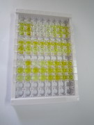 ELISA Kit for Glycated Hemoglobin A1c (HbA1c)