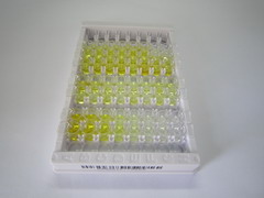 ELISA Kit for Androstenediol (AED)