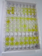 ELISA Kit for 1,25-Dihydroxyvitamin D3 (DHVD3)