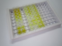 ELISA Kit for Oxidized Low Density Lipoprotein (OxLDL)