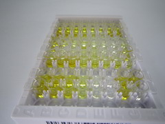 ELISA Kit for Fibrinogen Degradation Product (FDP)