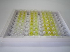 ELISA Kit for Indole 3 Acetic Acid (IAA)