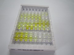 ELISA Kit for Gastric Inhibitory Polypeptide (GIP)