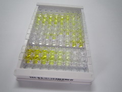 ELISA Kit for Acetylcholine (ACH)