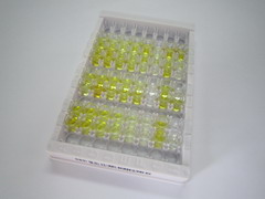 ELISA Kit for Procollagen I N-Terminal Propeptide (PINP)