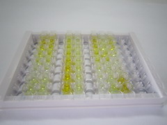 ELISA Kit for Beta-Hydroxybutyric Acid (bHB)