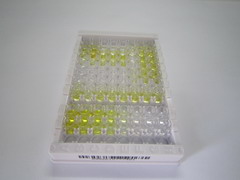 ELISA Kit for Antidiuretic Hormone (ADH)