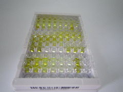 ELISA Kit for Thromboxane A2 (TXA2)