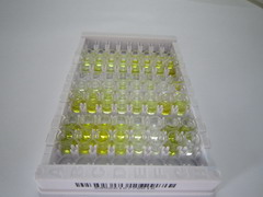 ELISA Kit for Chorionic Gonadotropin Alpha Polypeptide (CGa)
