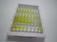 ELISA Kit for 1-Desamino 8D Arginine Vasopressin (DDAVP)