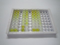 ELISA Kit for Kynurenic Acid (KYNA)