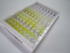 ELISA Kit for Peptide YY 3 (PYY3)