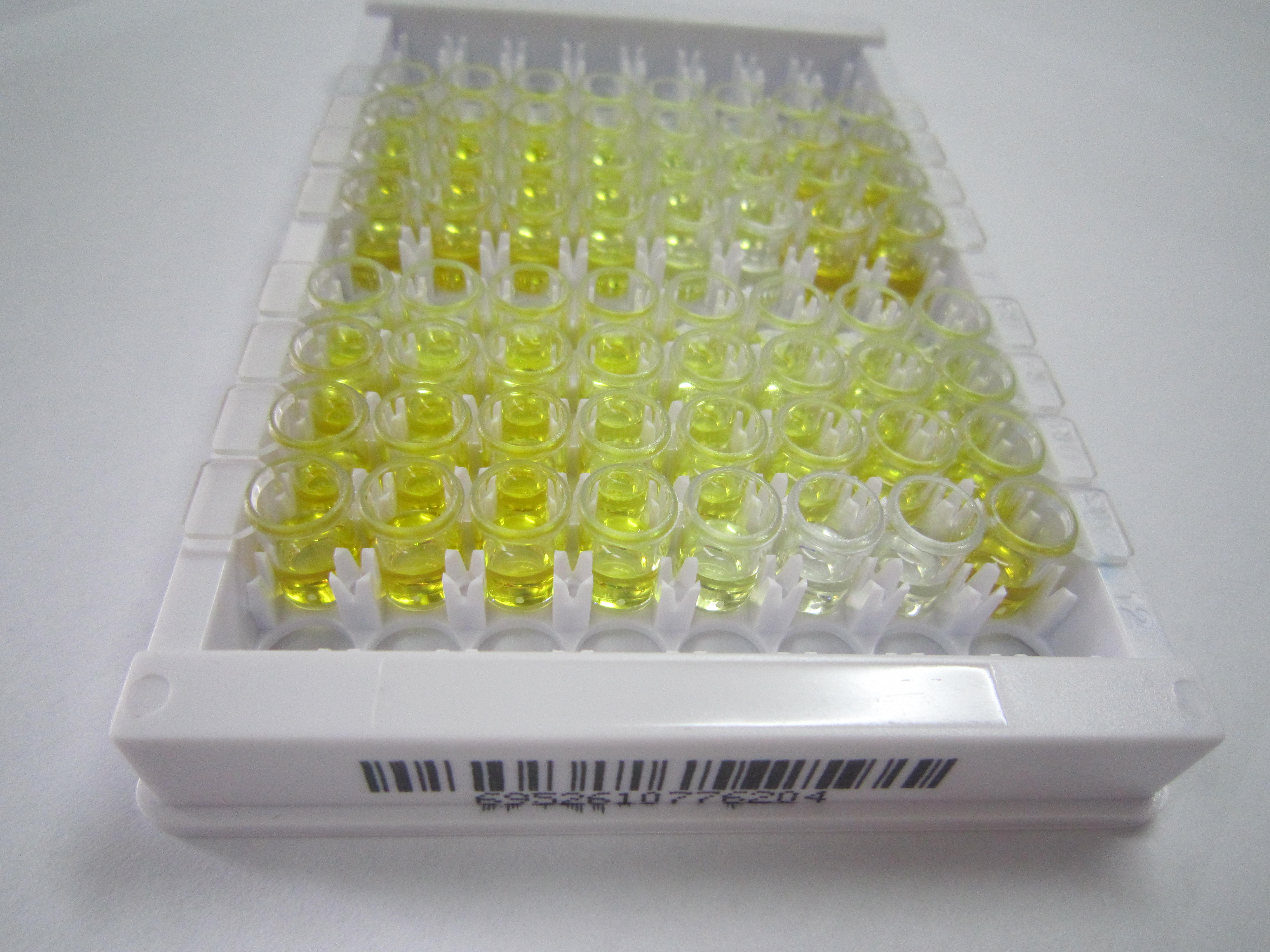ELISA Kit for Oxyntomodulin (OXM)