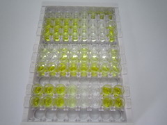 ELISA Kit for Polyethylene Glycol (PEG)