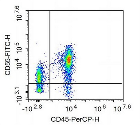 FITC-Linked Anti-Cluster Of Differentiation 55 (CD55) Monoclonal Antibody