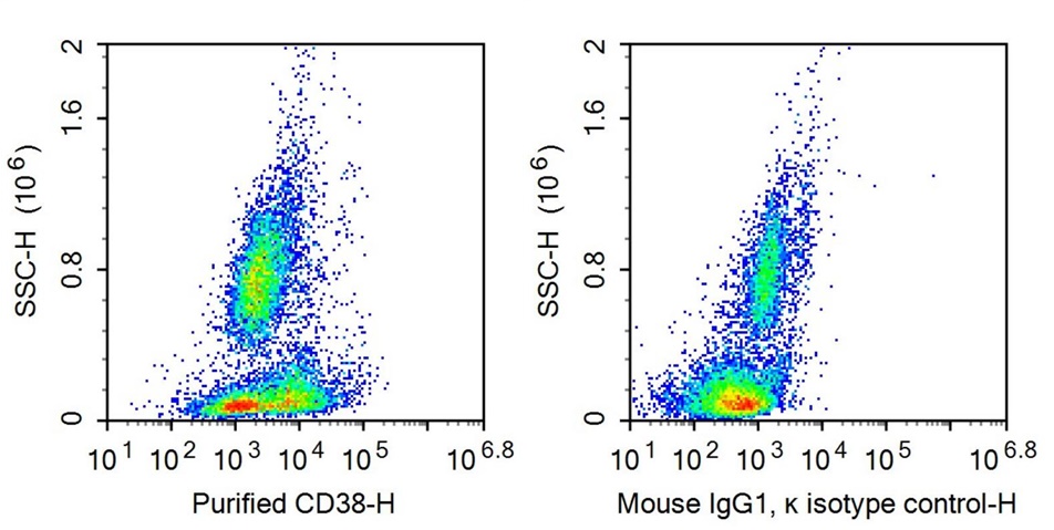 Anti-Cluster Of Differentiation 38 (CD38) Monoclonal Antibody