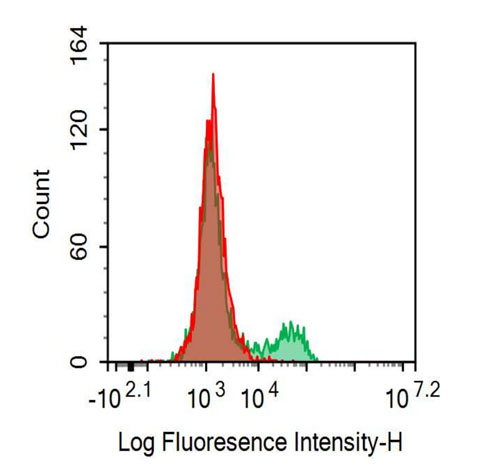 FITC-Linked Anti-Fc Fragment Of IgG Low Affinity IIIb Receptor (FcgR3B) Monoclonal Antibody