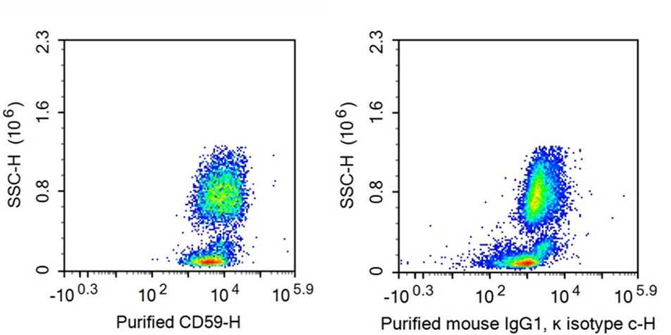 Anti-Cluster of Differentiation 59 (CD59) Monoclonal Antibody