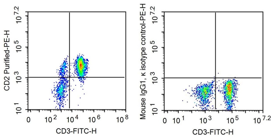Anti-Cluster Of Differentiation 2 (CD2) Monoclonal Antibody