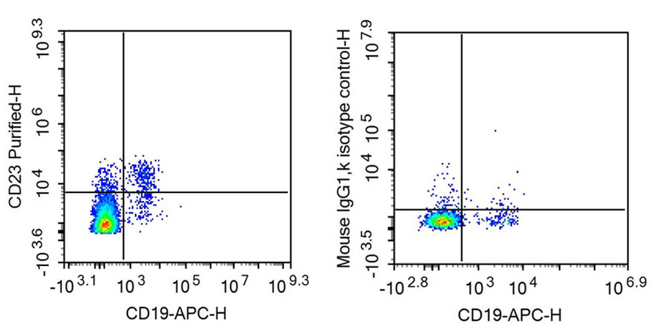 Anti-Cluster Of Differentiation 23 (CD23) Monoclonal Antibody