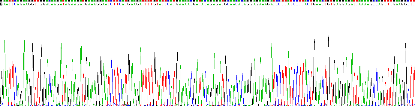 Recombinant Cluster Of Differentiation 40 Ligand (CD40L)