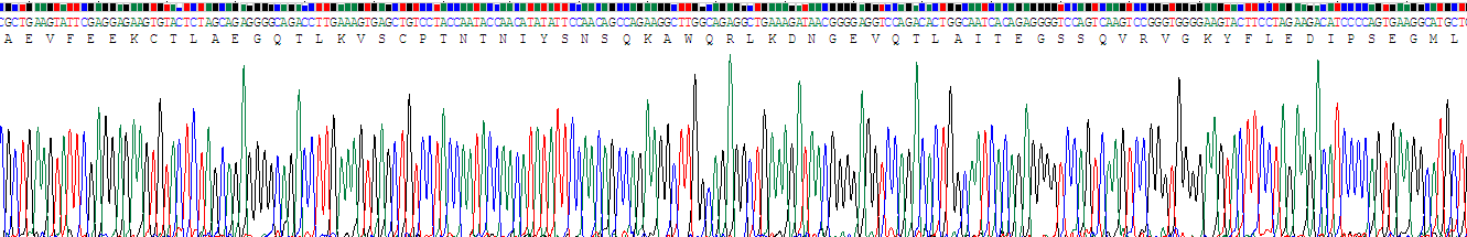 Recombinant Triggering Receptor Expressed On Myeloid Cells 1 (TREM1)