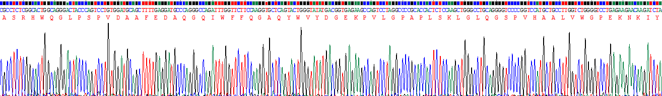 Recombinant Matrix Metalloproteinase 11 (MMP11)