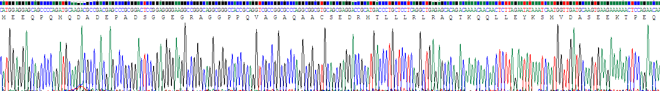 Recombinant Centromere Protein H (CENPH)