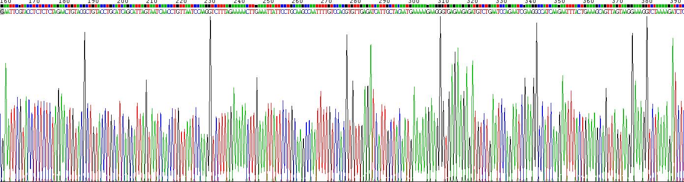 Recombinant Interferon Gamma Induced Protein 10kDa (IP10)