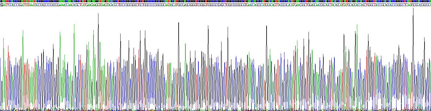 Recombinant Sex Determining Region Y Box Protein 2 (SOX2)