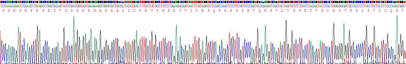 Recombinant TGF Beta Inducible Early Response Gene 1 (TIEG1)