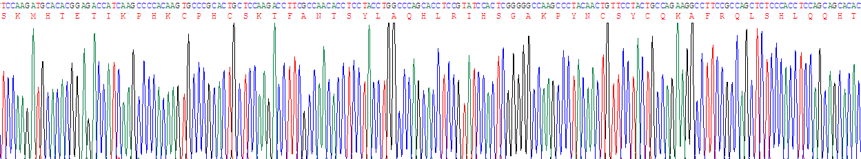 Recombinant Nuclear Matrix Protein 4 (NMP4)