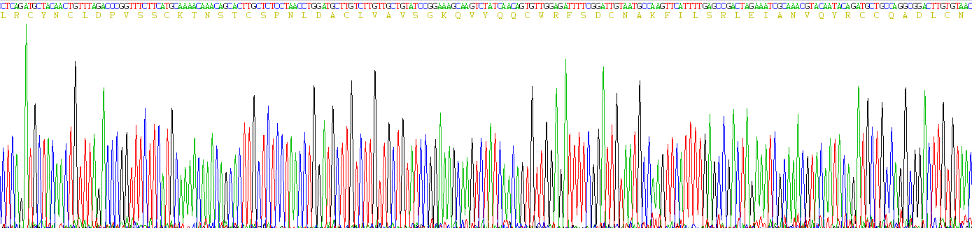 Recombinant Cluster of Differentiation 59 (CD59)