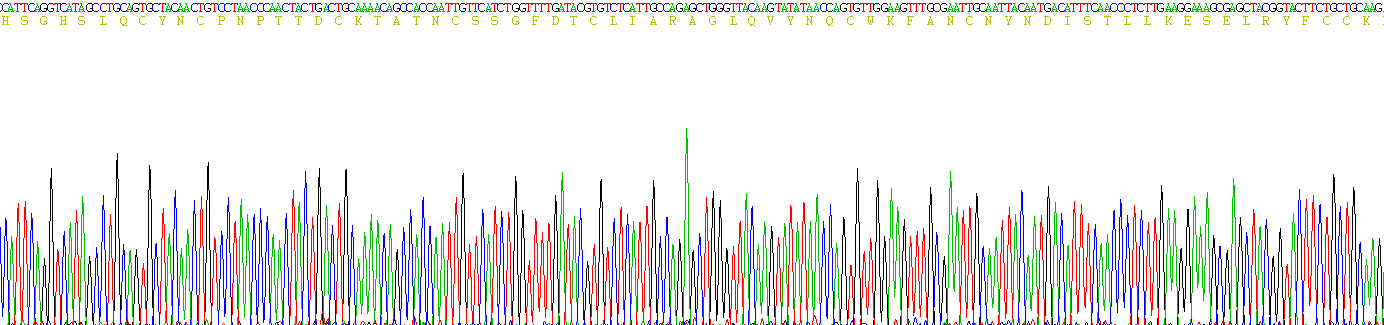 Recombinant Cluster of Differentiation 59 (CD59)