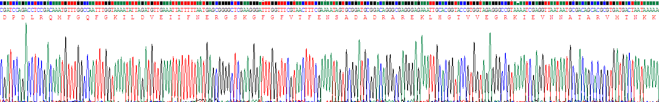 Recombinant Ataxin 2 Binding Protein 1 (A2BP1)