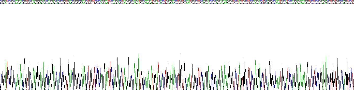 Recombinant Collagen Type III Alpha 1 (COL3a1)
