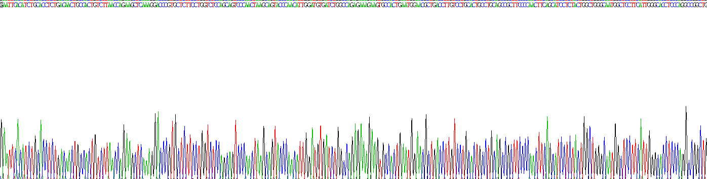 Recombinant Interleukin 18 Binding Protein (IL18BP)