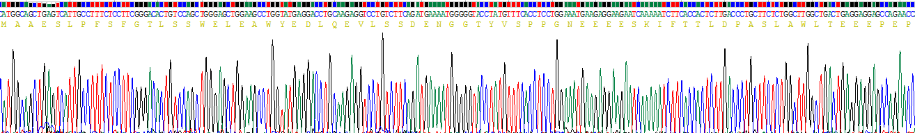 Recombinant DNA Damage Inducible Transcript 3 (DDIT3)