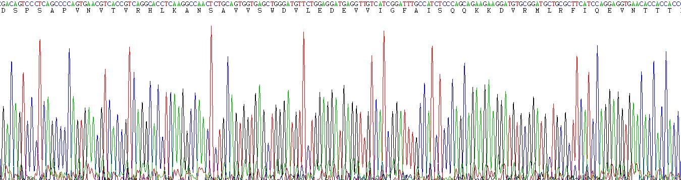 Recombinant Fibronectin Type III Domain Containing Protein 5 (FNDC5)