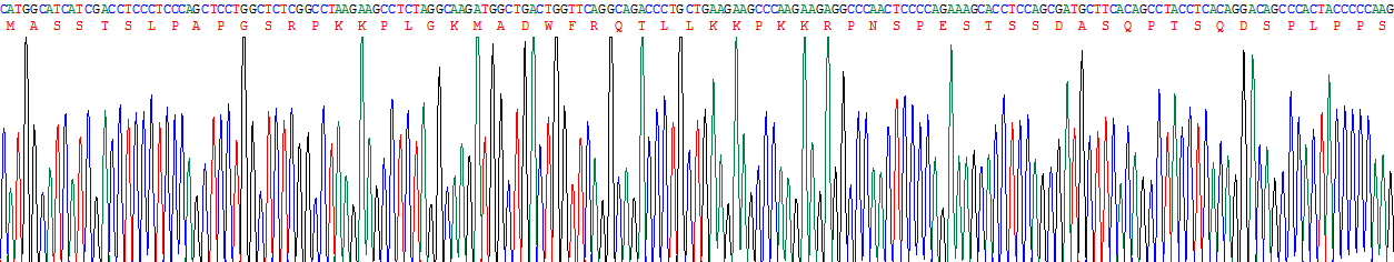 Recombinant Toll Interleukin 1 Receptor Domain Containing Adaptor Protein (TIRAP)