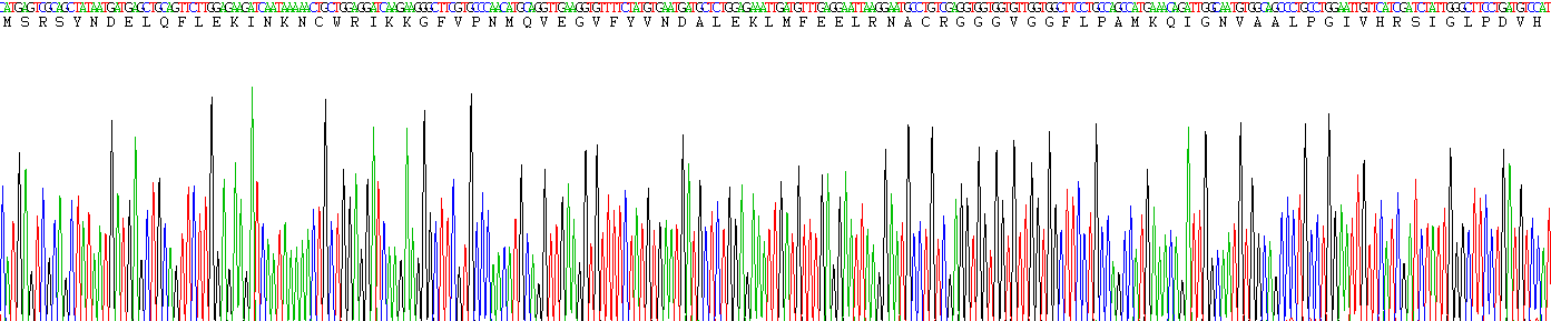 Recombinant Chromosome 22 Open Reading Frame 28 (C22orf28)