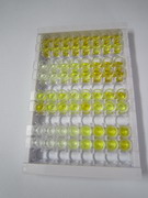 ELISA Kit for Angiotensin I Converting Enzyme (ACE)