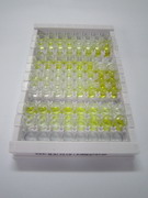 ELISA Kit for Matrix Metalloproteinase 13 (MMP13)